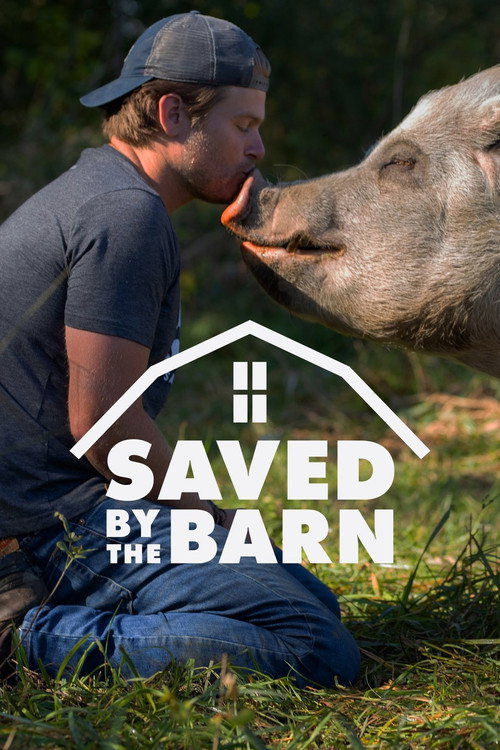 Saved By The Barn (2020) TV show poster