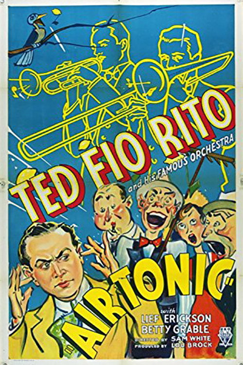 Air Tonic (1933) movie poster