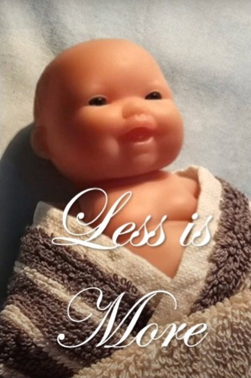 Less is More (2024) movie poster