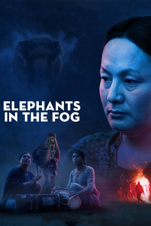 Elephants in the Fog (2026) movie poster