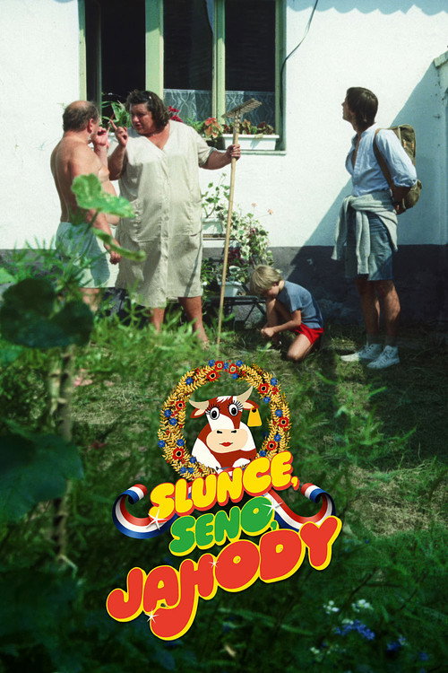Sun, Hay, Strawberries (1984) movie poster