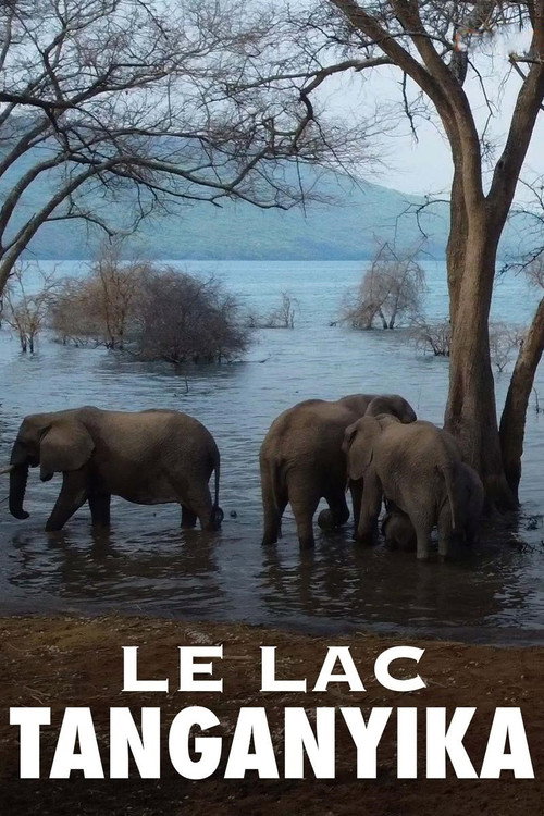 Le lac Tanganyika, la source de vie de l'Afrique (2020) movie poster