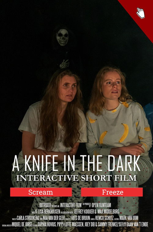 A Knife in the Dark (2021) movie poster