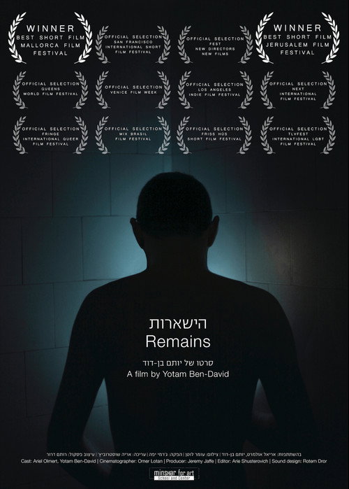 Remains (2013) movie poster