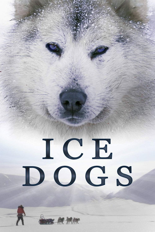Ice Dogs: The Only Companions Worth Having (2016) movie poster