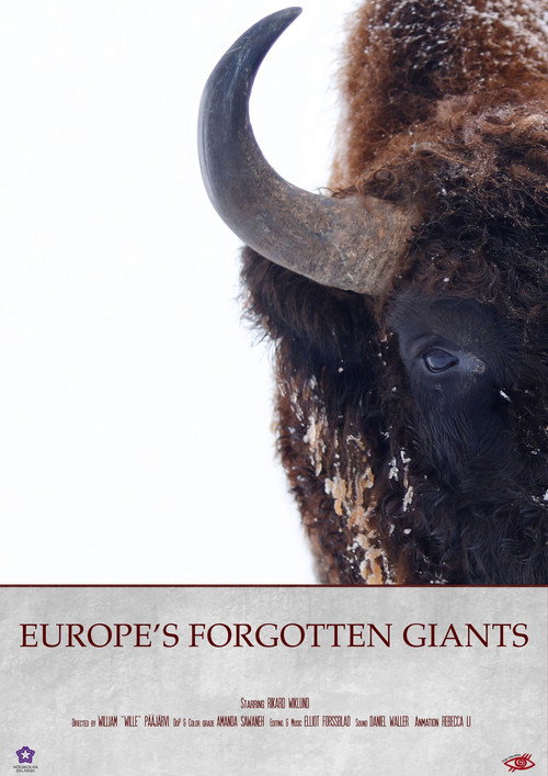 Europe's Forgotten Giants (2025) movie poster