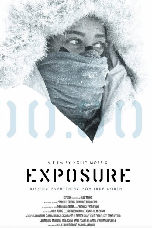 Exposure (2021) movie poster