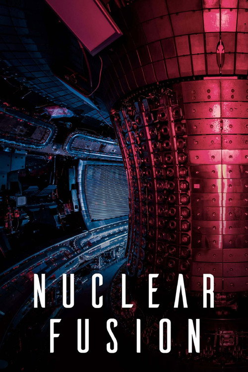 Nuclear Fusion: The Promise of a New Energy Source (2023) movie poster