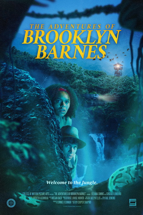 The Adventures of Brooklyn Barnes (2022) movie poster