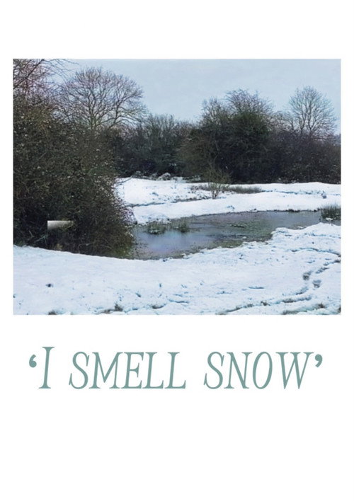 ‘I smell snow’ (2024) movie poster