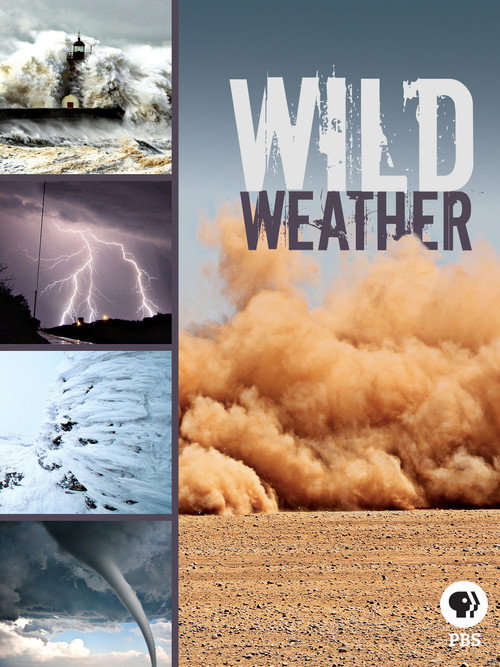 Wild Weather movie poster