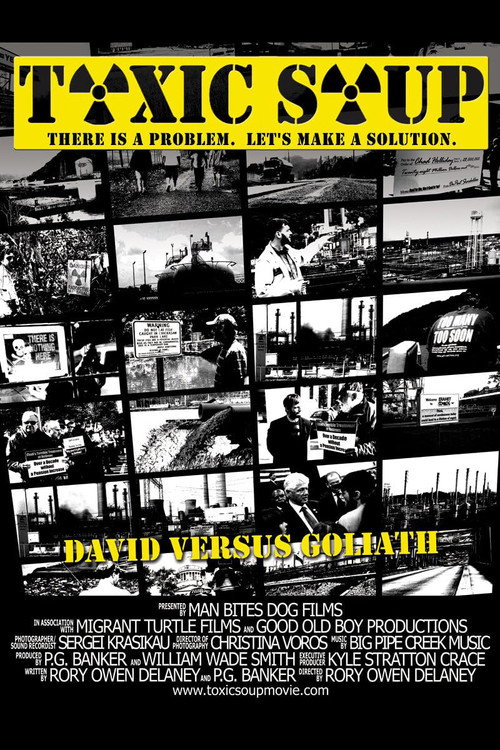 Toxic Soup (2010) movie poster