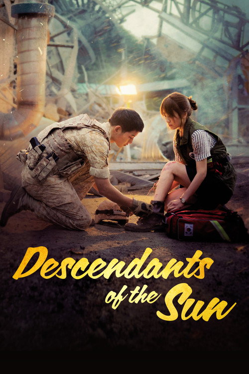 Descendants of the Sun (2016) TV show poster