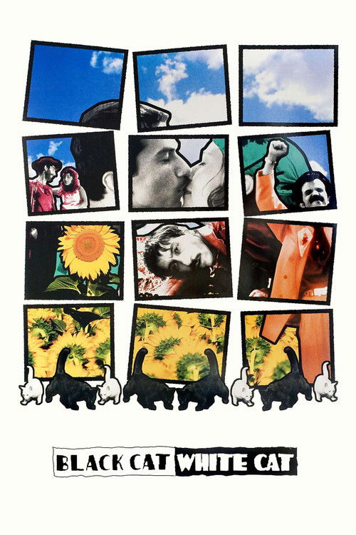Black Cat, White Cat (1998) movie poster