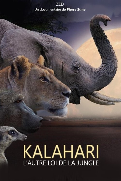 Kalahari, l'autre loi de la jungle (2021) movie poster