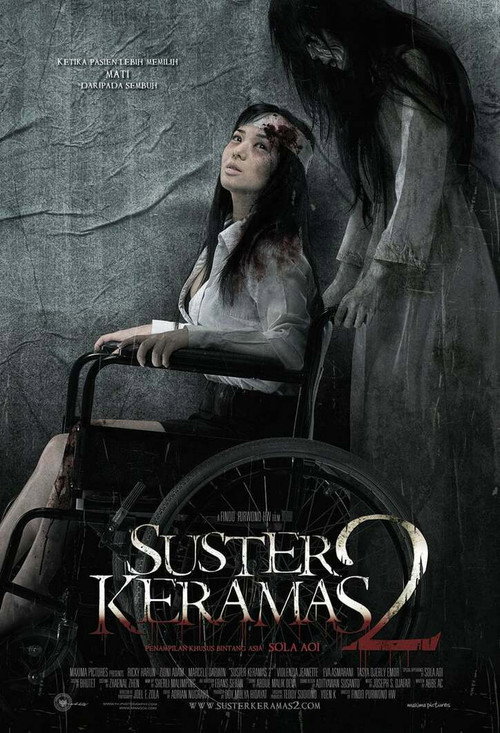 Evil Nurse 2 (2011) movie poster