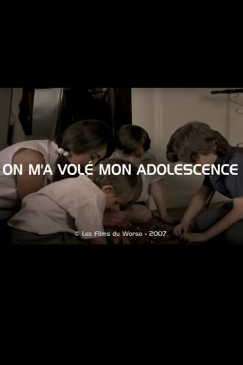 On m'a volé mon adolescence (2008) movie poster