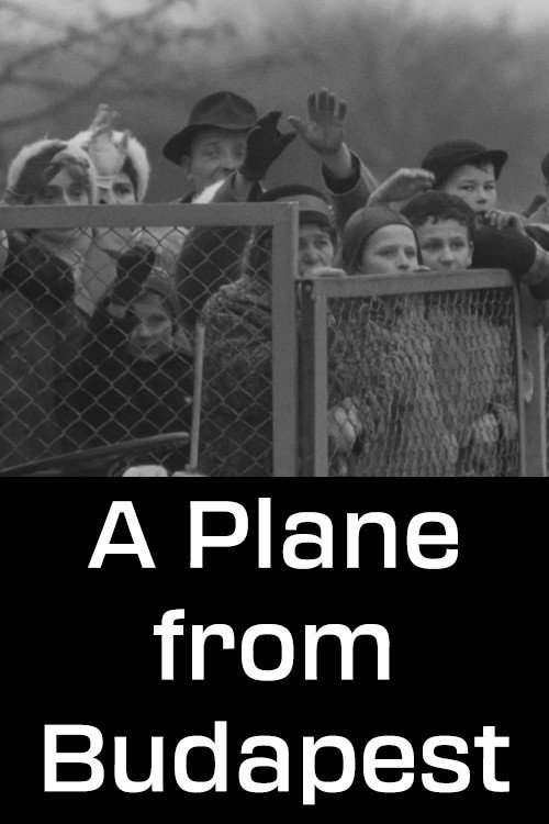 A Plane from Budapest (1961) movie poster