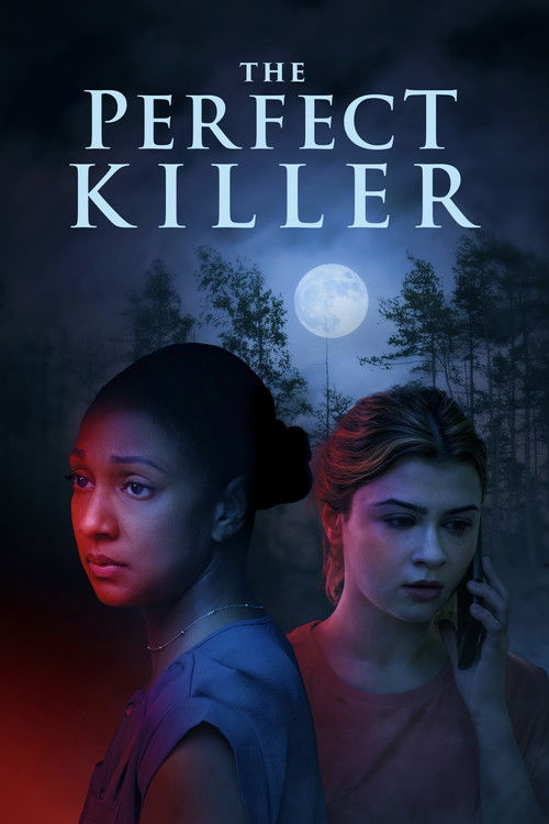 The Perfect Killer (2025) movie poster