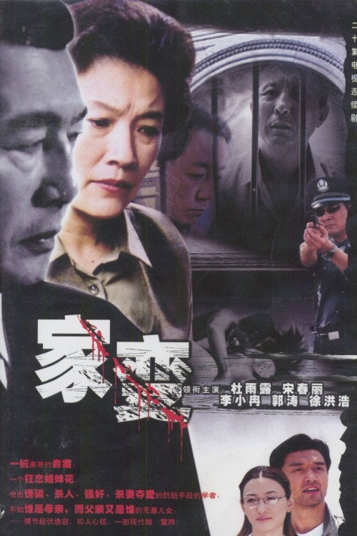 家变 (2004) TV show poster