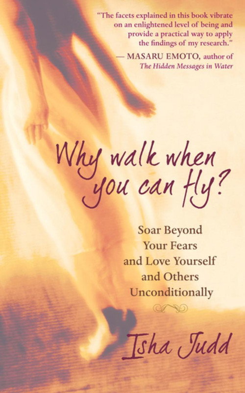 Why Walk When You Can Fly? The Movie movie poster