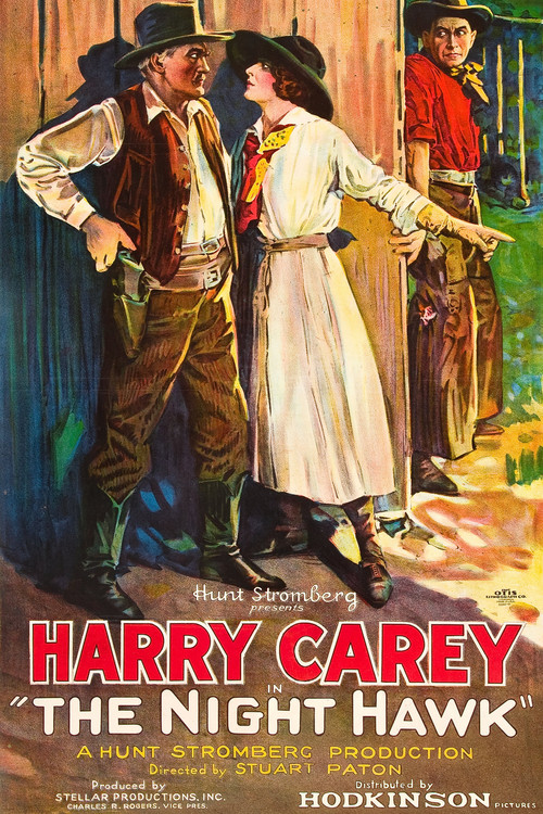 The Night Hawk (1924) movie poster