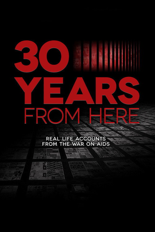 30 Years from Here (2011) movie poster