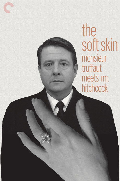 Monsieur Truffaut Meets Mr. Hitchcock (1999) movie poster