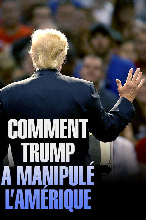 Fake America Great Again (2018) movie poster