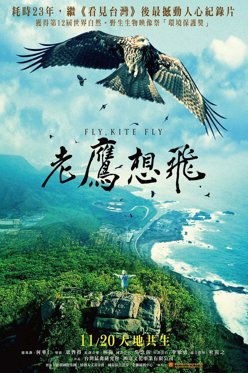 Fly, Kite Fly (2015) movie poster