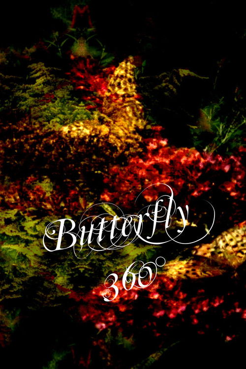 Butterfly 360° (2020) movie poster