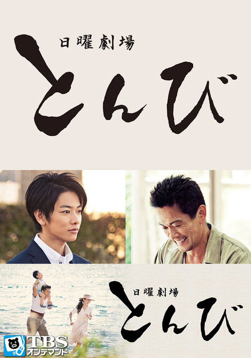 Black Kite (2013) TV show poster