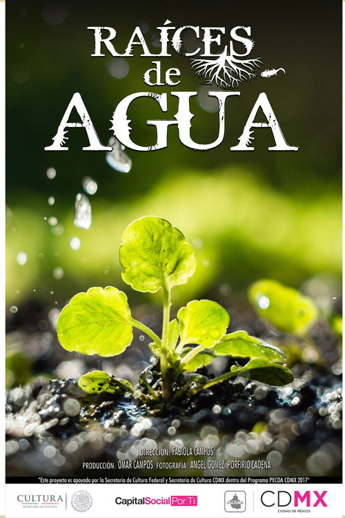 Raíces de Agua movie poster