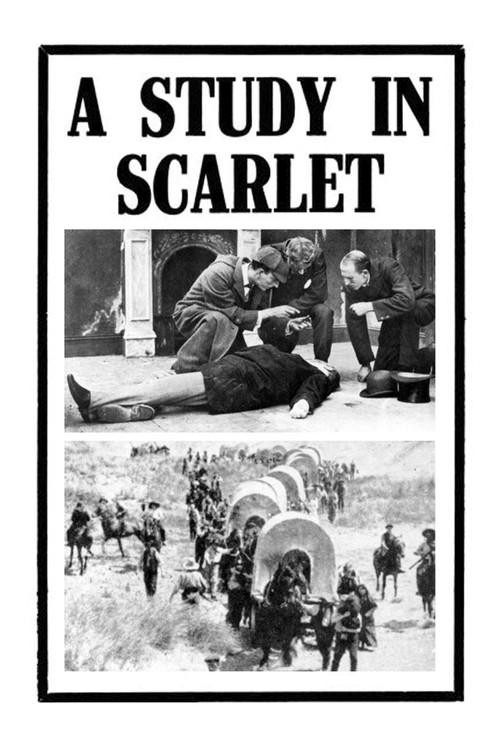 A Study in Scarlet (1914) movie poster
