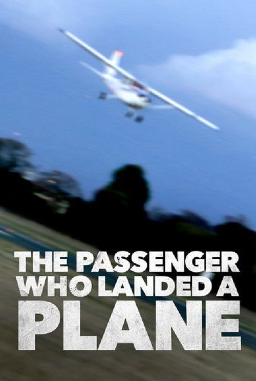 Mayday: The Passenger Who Landed a Plane (2014) movie poster