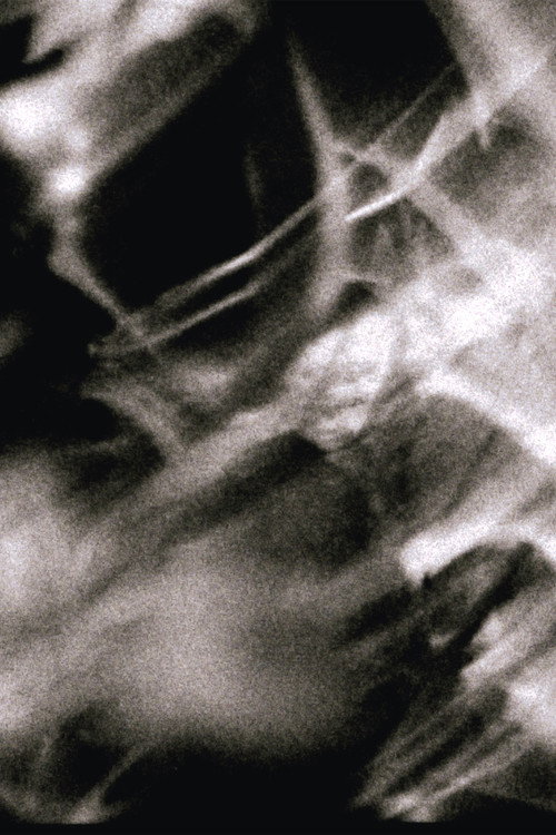 Study for Three Streams (2024) movie poster
