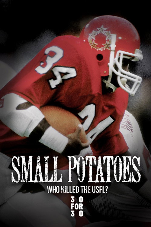Small Potatoes: Who Killed the USFL? (2009) movie poster