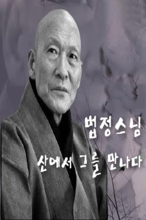 Monk Beopjeong, Meet Him in The Mountains (2003) movie poster