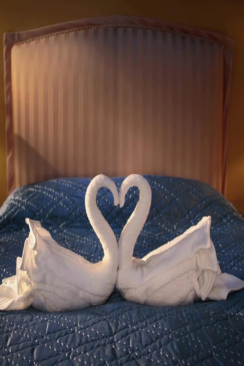 Swan Song (2014) movie poster