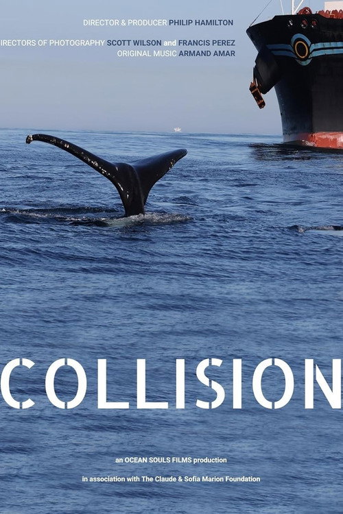 Collision (2023) movie poster