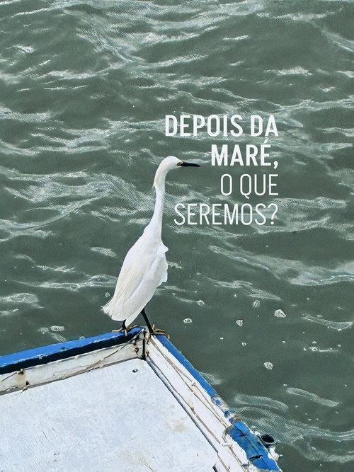 Depois da maré, o que seremos? movie poster