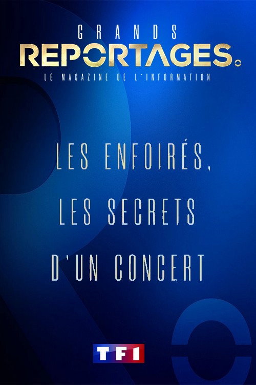 Les Enfoirés, les secrets d'un concert (2020) movie poster
