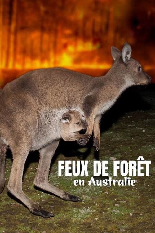 Bushfire Animal Rescue (2020) movie poster
