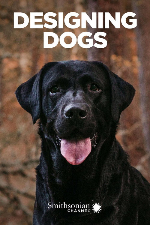 Designing Dogs (2007) movie poster