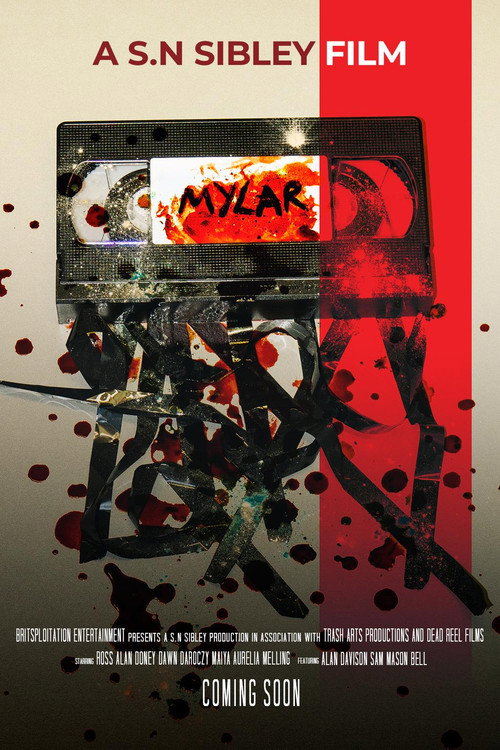 Mylar movie poster