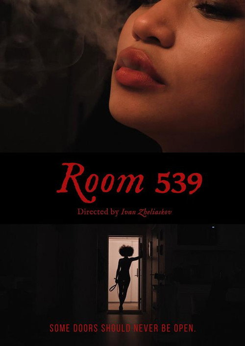 Room 539 (2026) movie poster