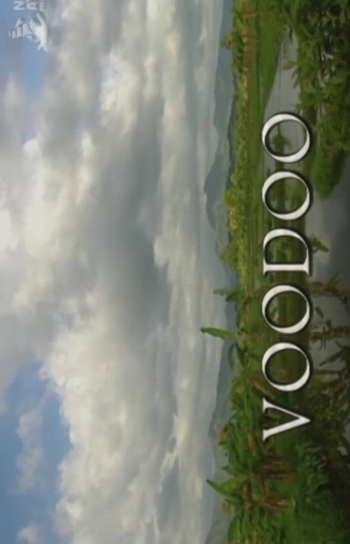 Voodoo (2005) movie poster