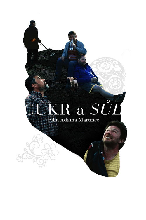 Sugar and Salt (2019) movie poster