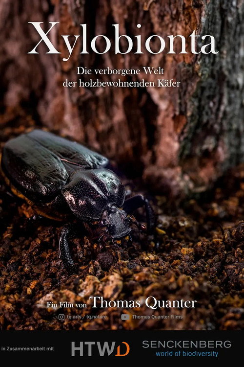 Xylobionta - die verborgene Welt der holzbewohnenden Käfer (2024) movie poster