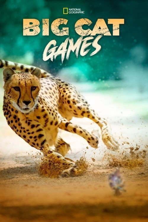 Big Cat Games (2015) movie poster